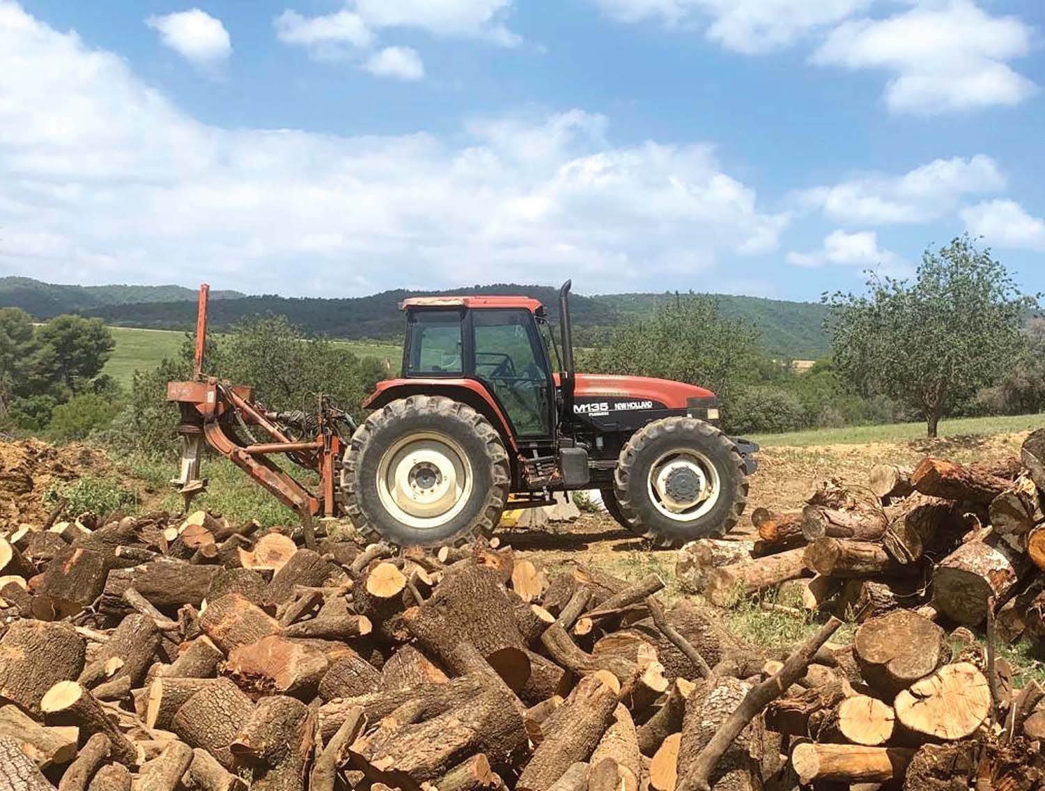 Futur Ecològic Servei Venda de Llenya