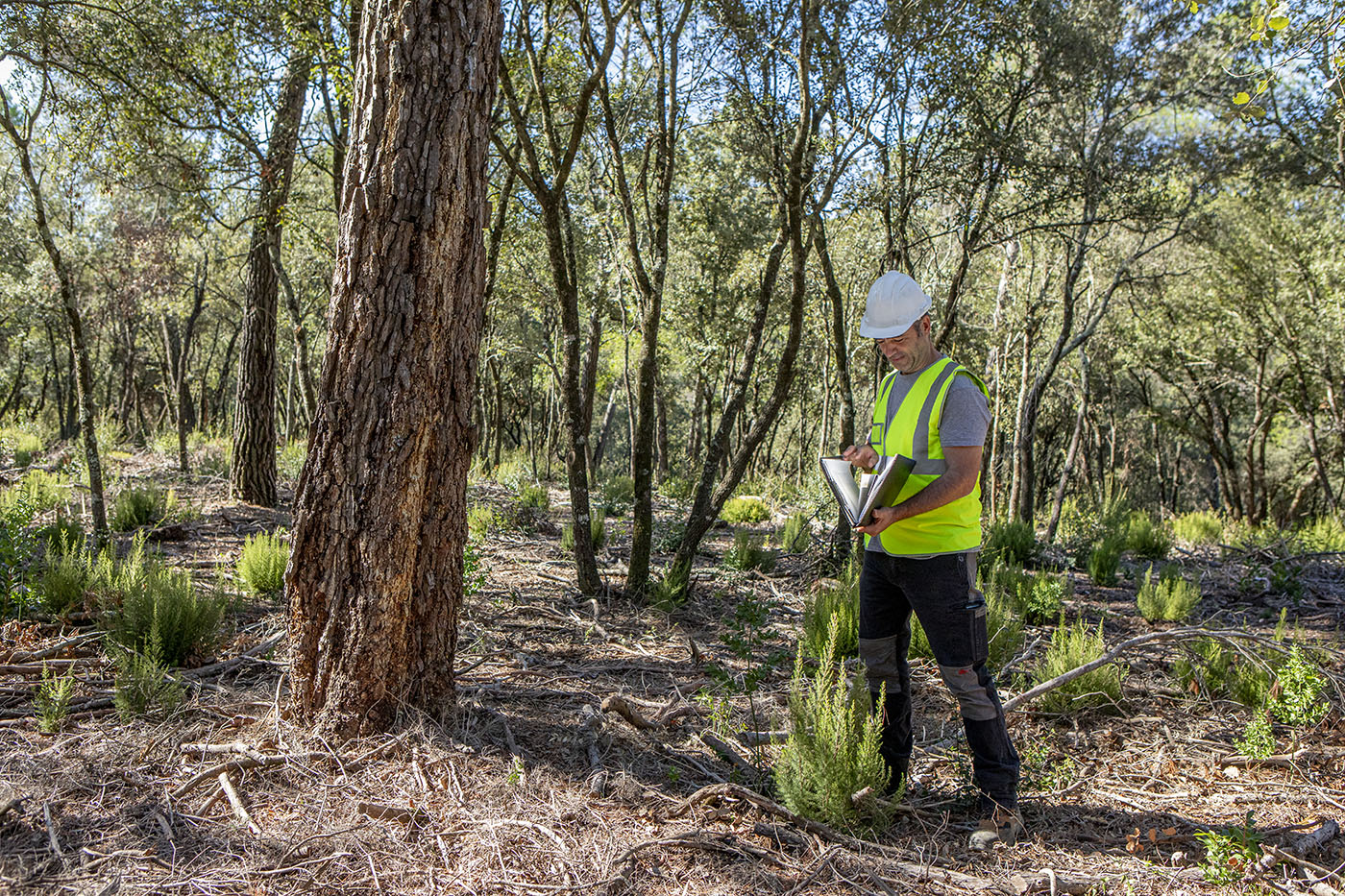 Futur Ecològic Servei Direcció d'Obra