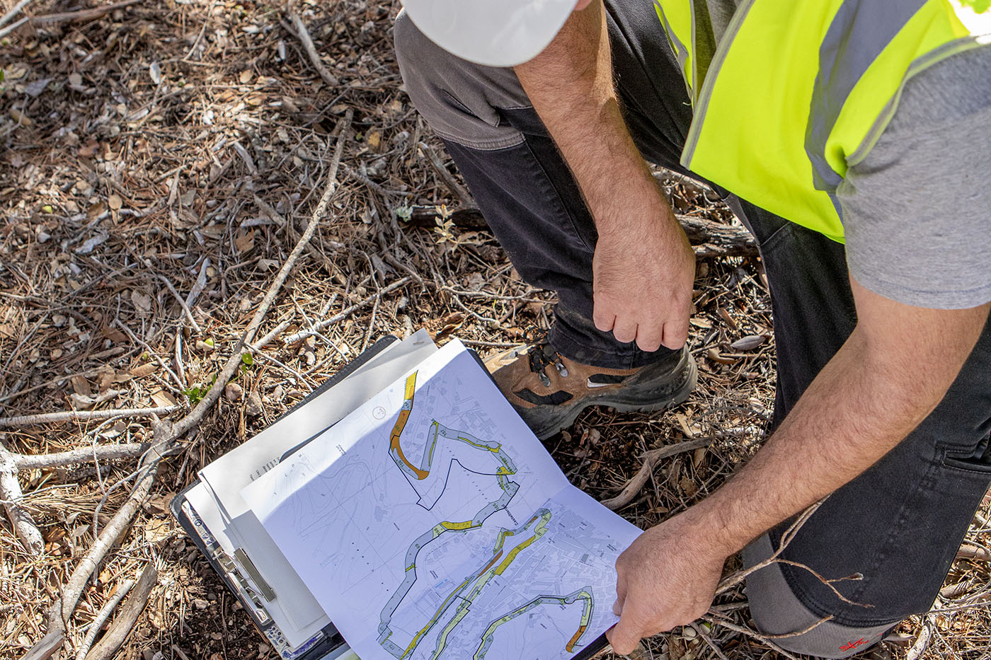 Futur Ecològic Servei Direcció d'Obra