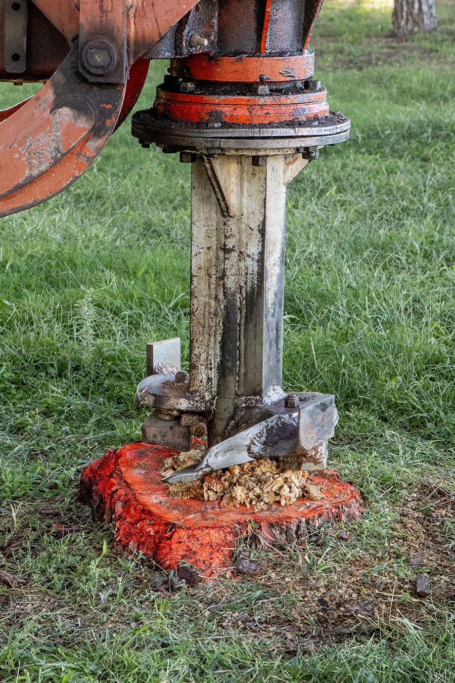 Futur Ecològic Servei Eliminació de Soques