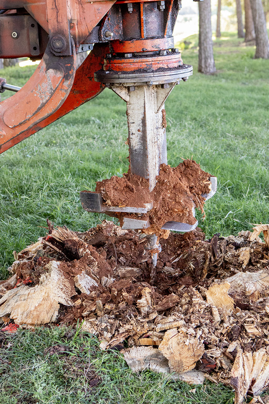 Futur Ecològic Servei Eliminació de Soques