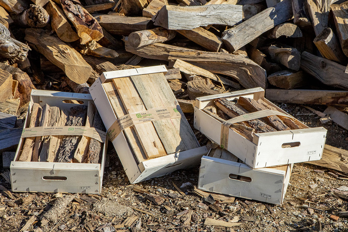 Futur Ecològic servei venda de llenya