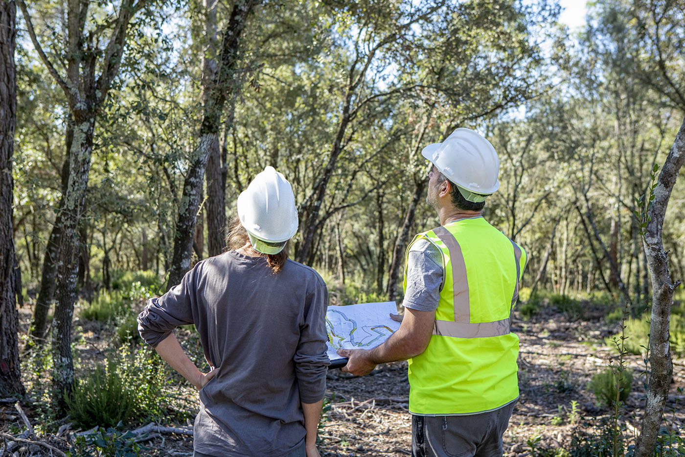 Futur Ecològic direcció d'obra